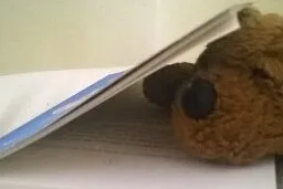 A plushy bear in a book